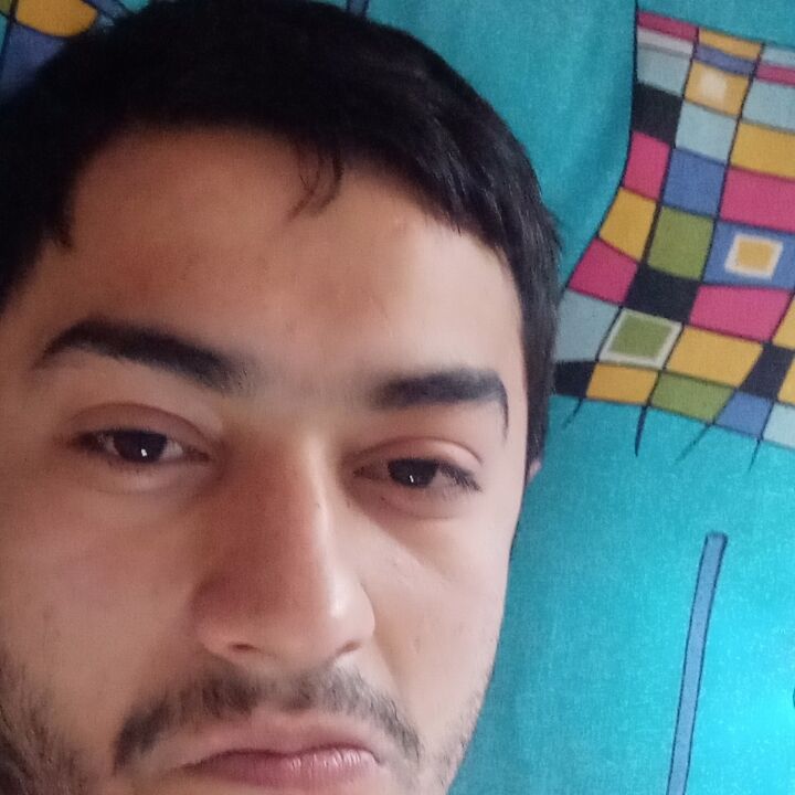  23685564  , 28 ,    