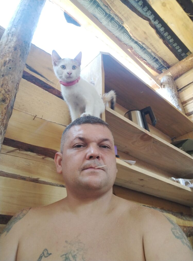 ���� 56090004 ������� ���������, 44 ����, ���� ���������� � �����������