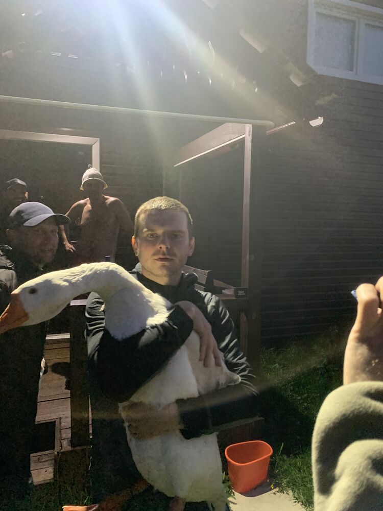 ���� 36996294 ������� ����, 36 ���, ���� ���������� � ������