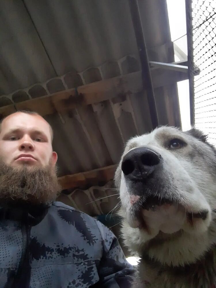  -,   AleksMakarov, 31 ,   