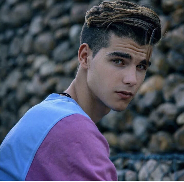  33730204  , 21 ,    -