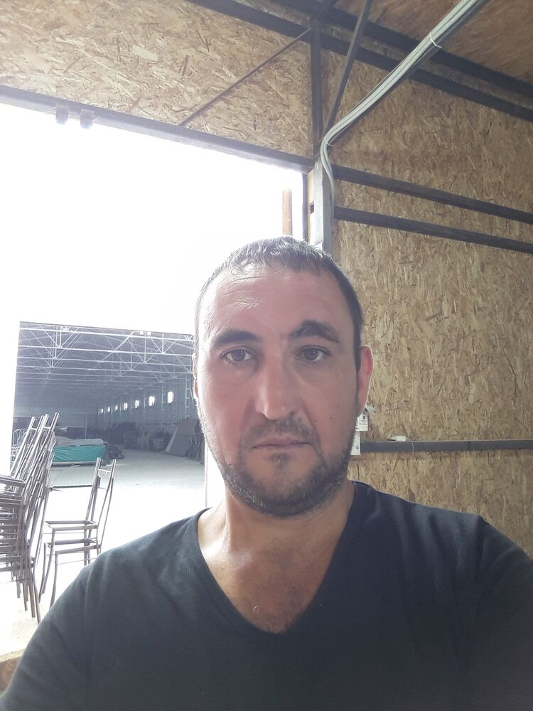  35632584  Bladlmer, 42 ,    