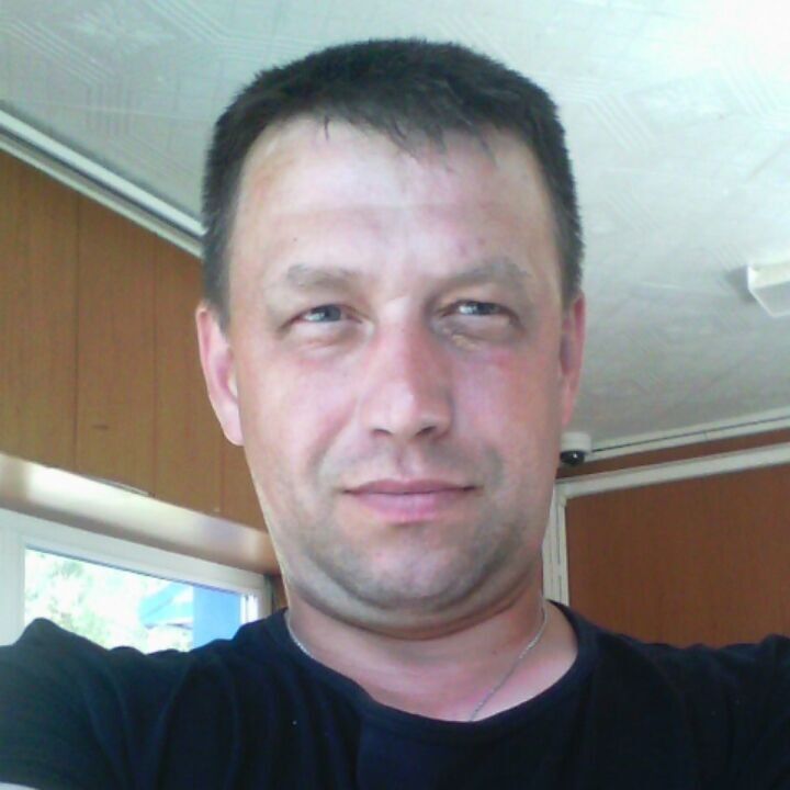  15445274  Volk, 34 ,    