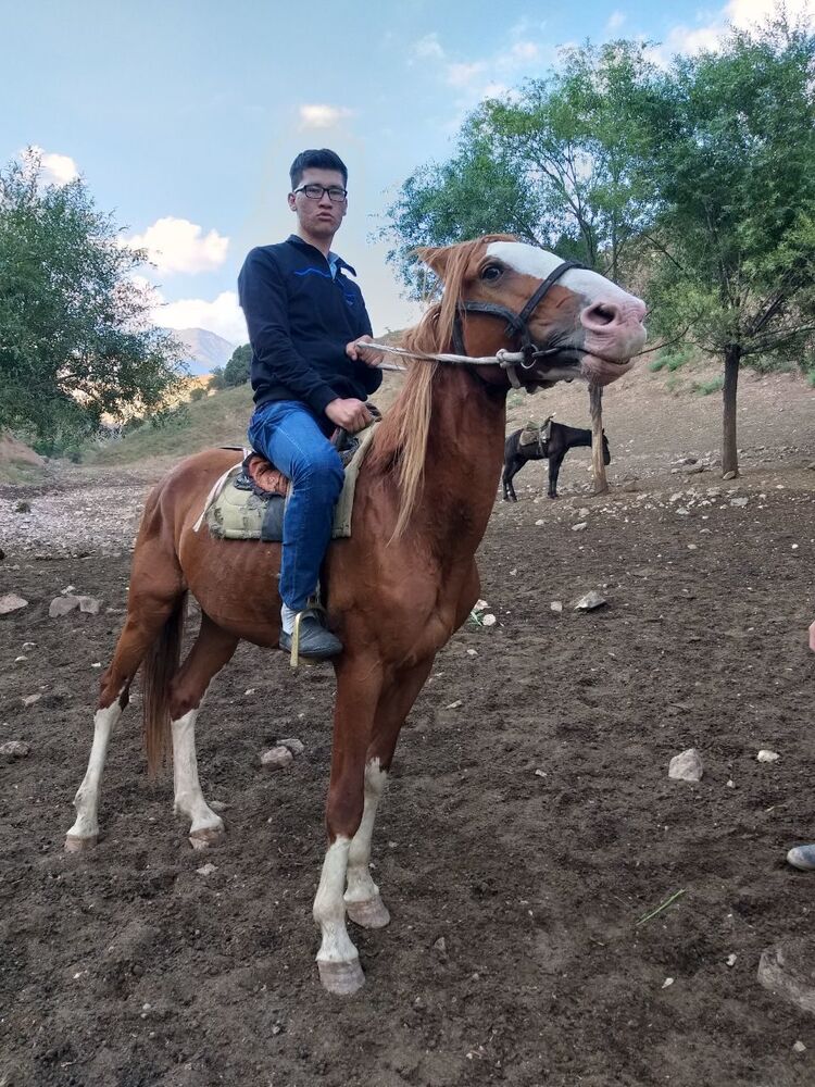 ���� 46737074 ������� ���, 27 ���, ���� ���������� � ��������