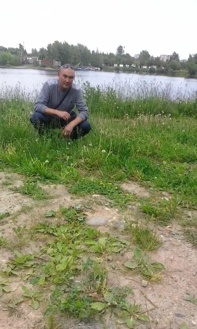  48204304  , 43 ,    