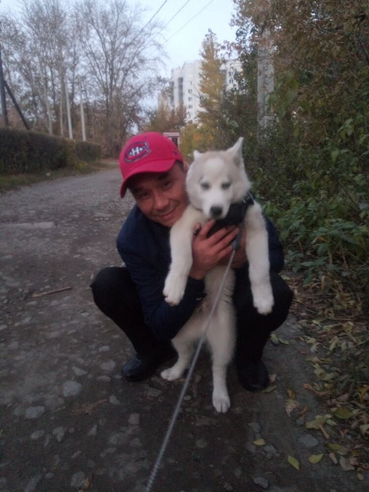 ���� 24480914 ������� �����, 44 ����, ���� ���������� � ����������