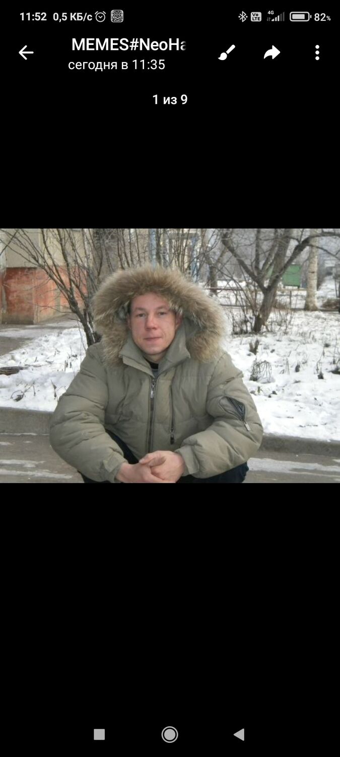 ���� 55771334 ������� Iva, 41 ���, ���� ���������� � �����������