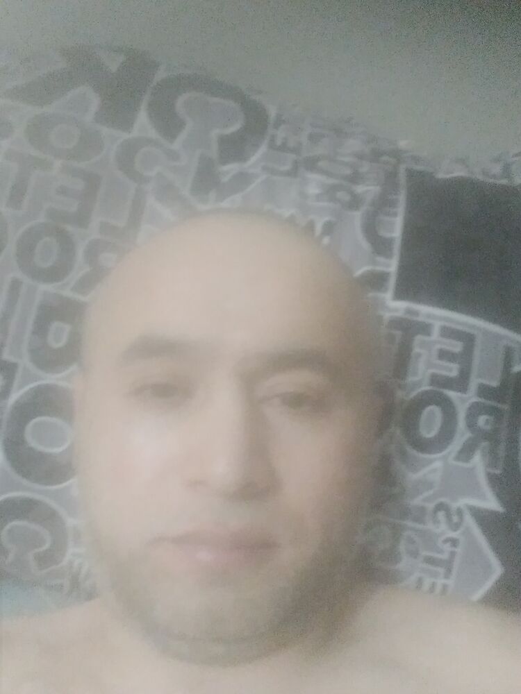  49044764  , 44 ,    