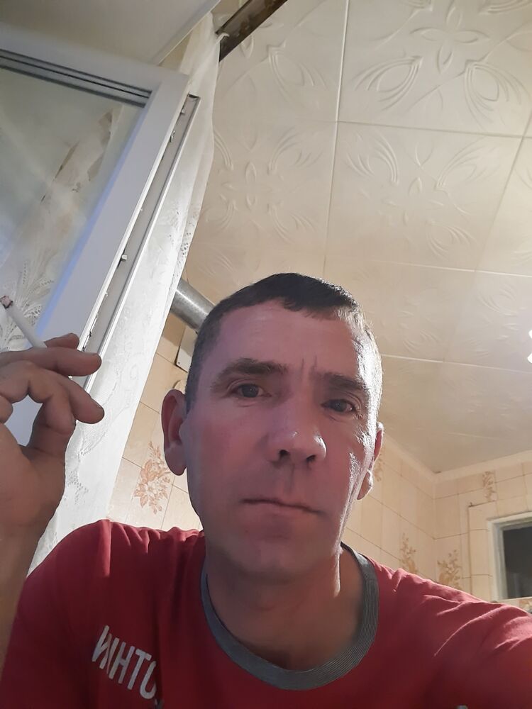  23339584  , 50 ,    