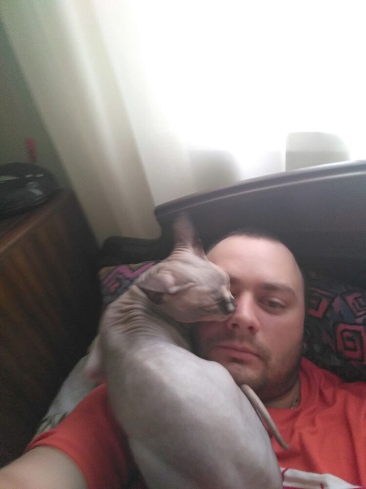 ���������� ���������, ���� ������� ��������, 40 ���, ������������ ��� ������