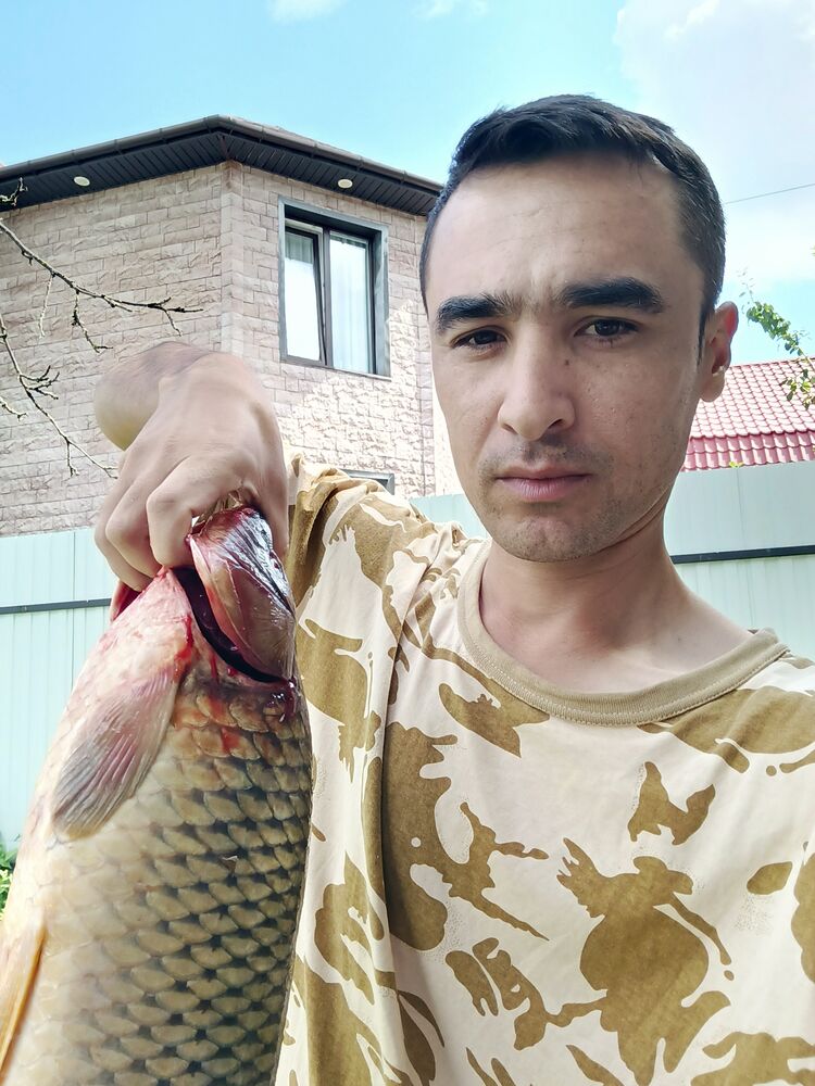 ���� 46708374 ������� �������  �, 34 ����, ���� ���������� � ������