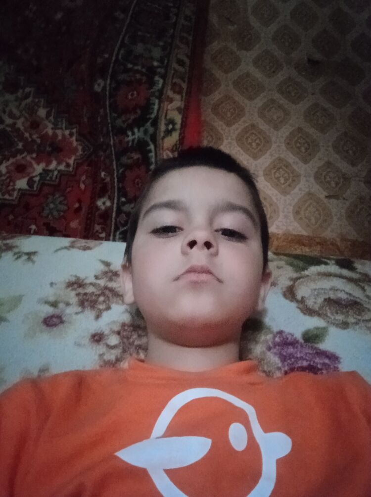  42497194  , 20 ,    
