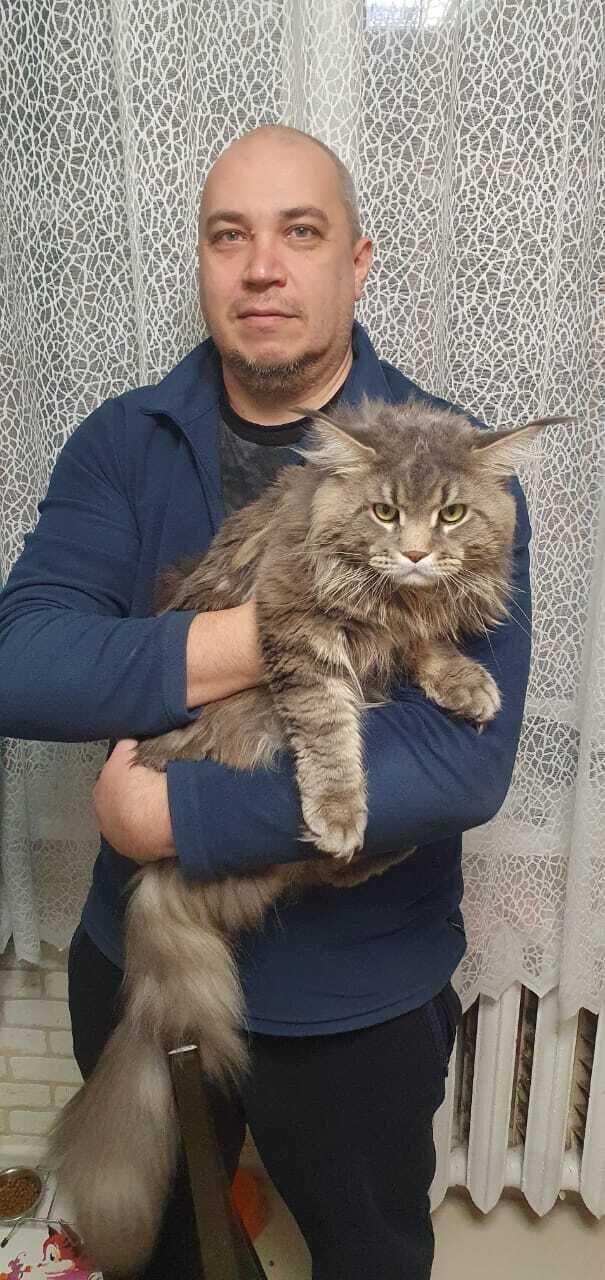  53833724  Andrei, 46 ,    -