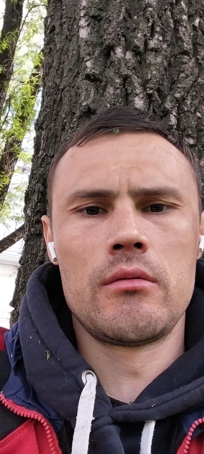 ���� 51292494 ������� �������, 33 ����, ���� ���������� � ������