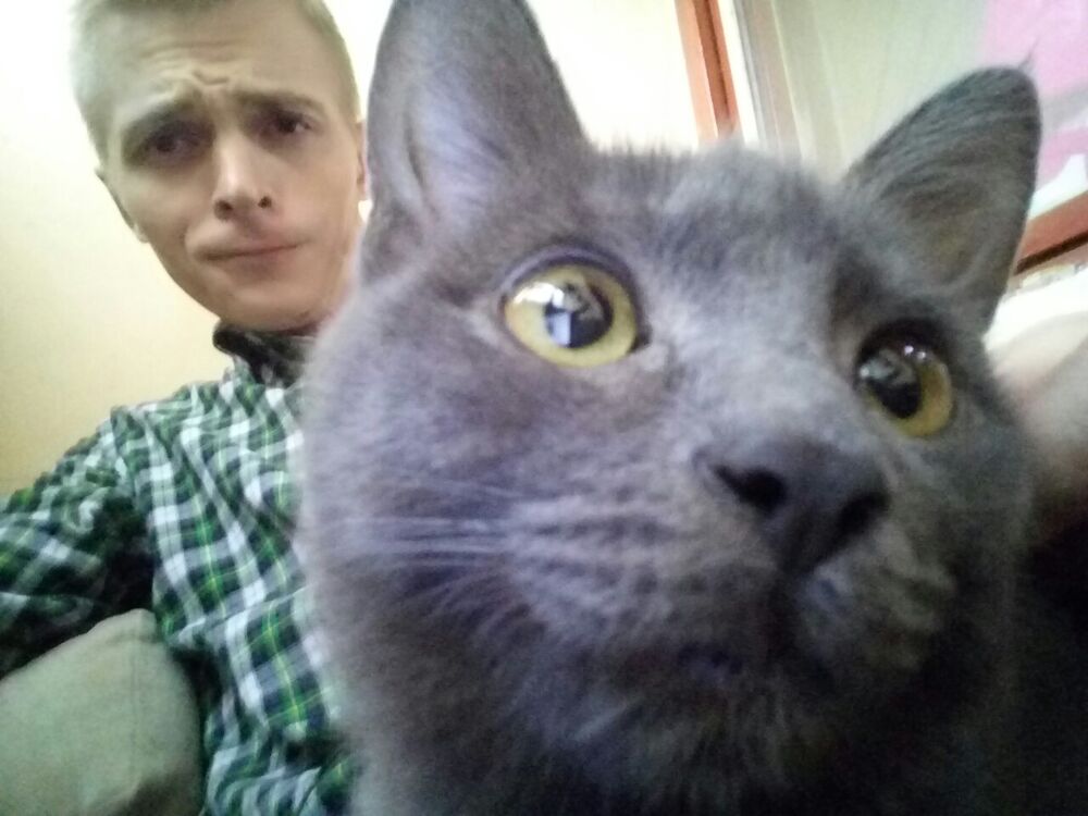 ���� 25972564 ������� �����, 33 ����, ���� ���������� � �������-��-����