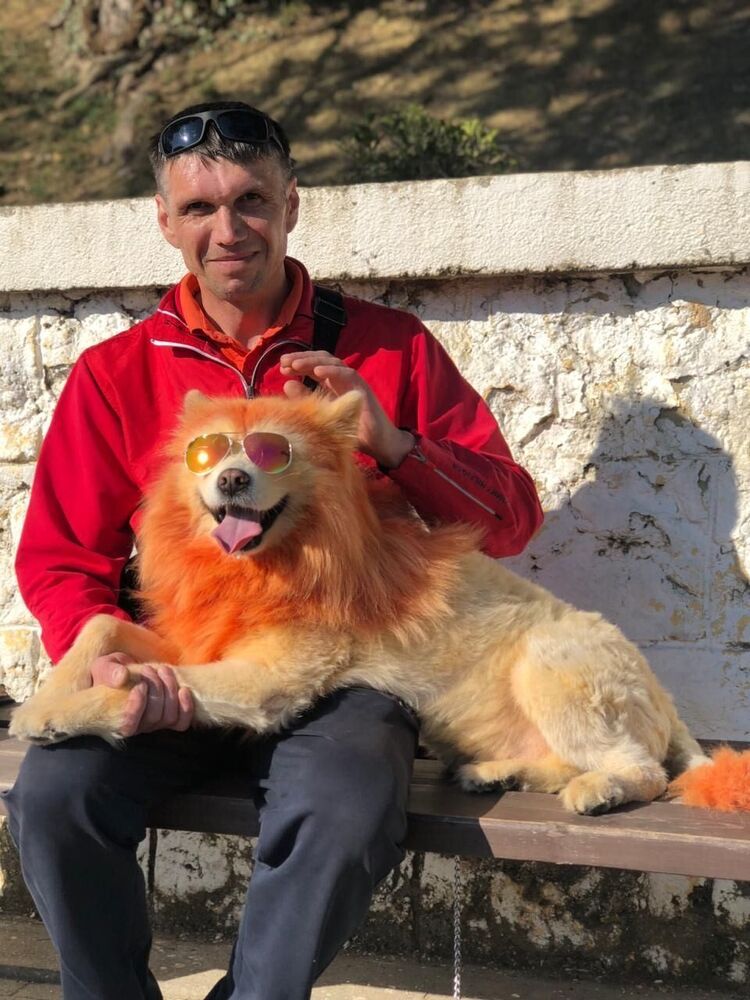 ���� 56134364 ������� ������, 48 ���, ���� ���������� � �������