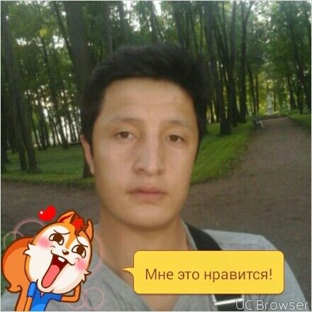 ���� 9304074 ������� ����, 34 ����, ���� ���������� � �������