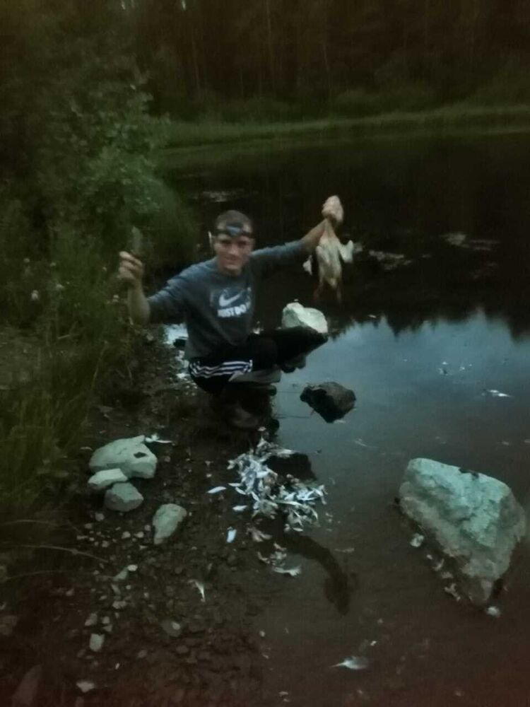  ,   , 40 ,   ,   , 