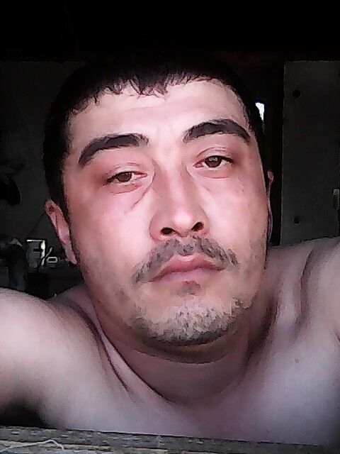 ���� 8051864 ������� �����, 38 ���, ���� ���������� � �����