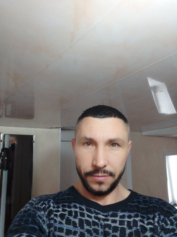  41333854  , 40 ,    
