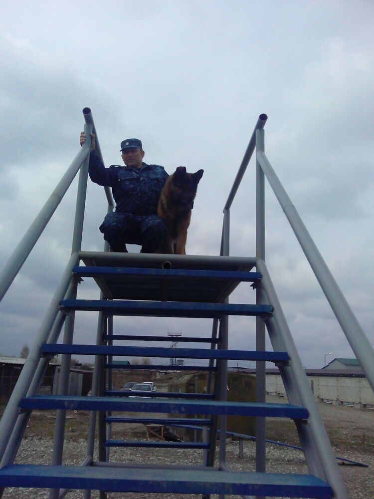 ���������� �����-���������, ���� ������� VLADISLAV, 49 ���, ������������ ��� ������, ����� � ���������