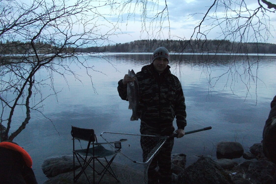 ���� 10580274 ������� �����, 43 ����, ���� ���������� � �����-����������