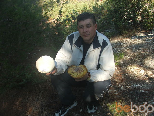  ,   , 55 ,  