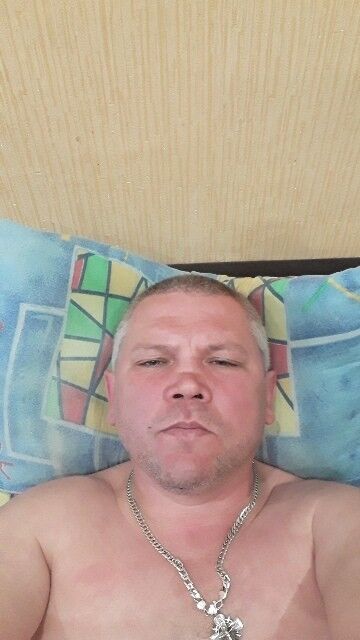  15841354  , 50 ,    