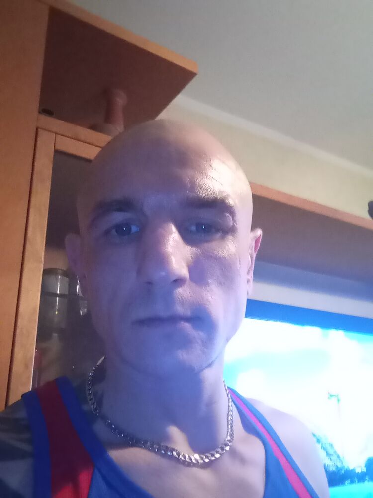  33153264  , 39 ,    