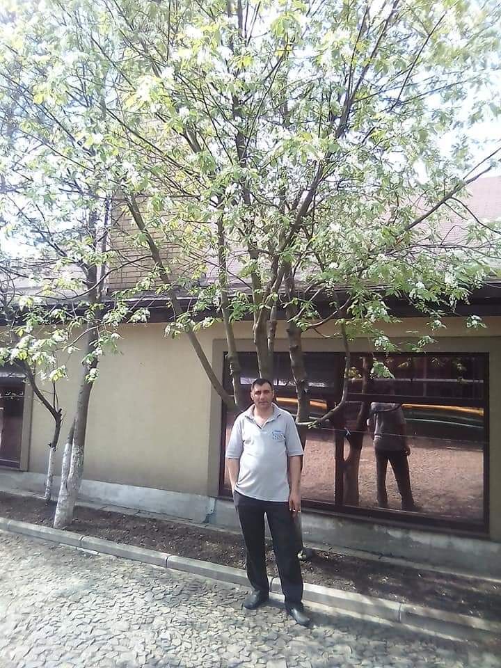  31973884  , 98 ,    