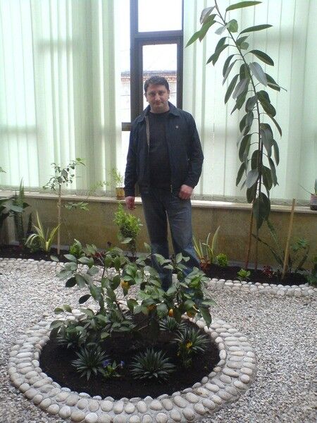  6579294  Badri, 47 ,    