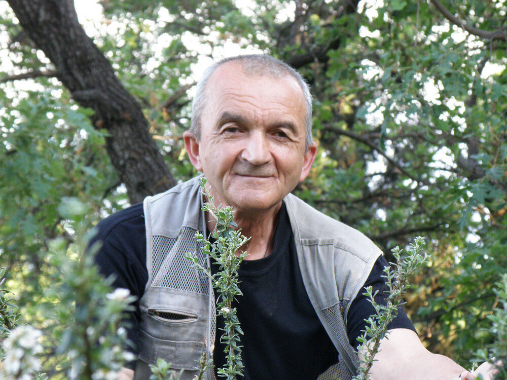  ,   , 65 ,   ,   