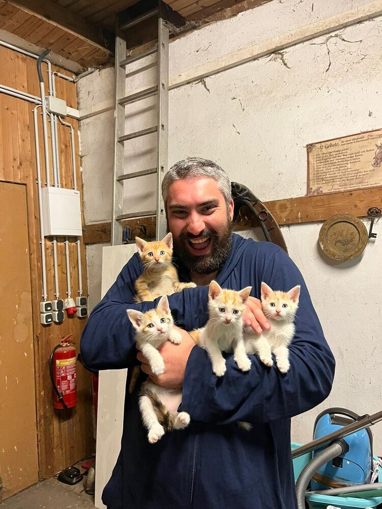 ���� 37978804 ������� Giorgi, 35 ���, ���� ���������� � �������