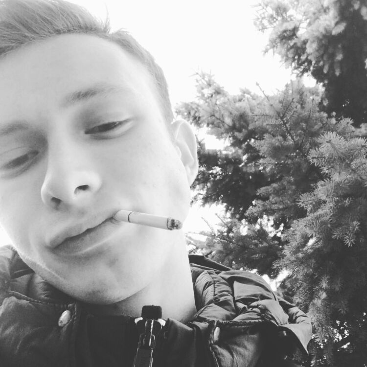 ���� 24553684 ����� �������, 24 ����, ���� ���������� � ��������