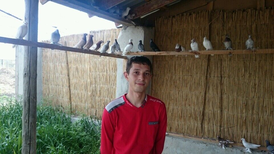  6489784  EKREM, 35 ,    