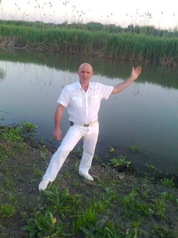  20667554  , 61 ,    