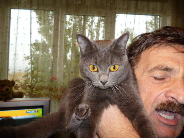  18852304   , 104 ,    --