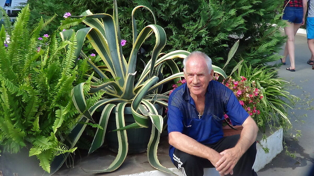  ,   VIKTOR, 67 ,  
