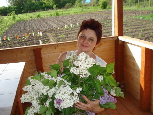 ���������� ����, ���� ������� E����, 61 ���, ������������ 