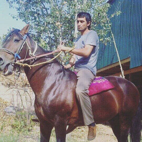 ���������� ���������, ���� ������� �����, 35 ���, ������������ ��� ������, ����� � ���������, c�������� ���������, ���������