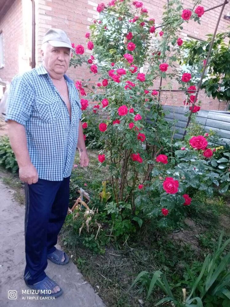 ���� 50845564 ������� ��������, 61 ���, ���� ���������� � ������