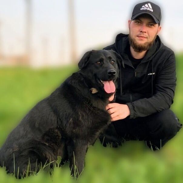 ���������� ������, ���� ������� ����, 33 ����, ������������ ��� ������, ����� � ���������, c�������� ���������, ���������