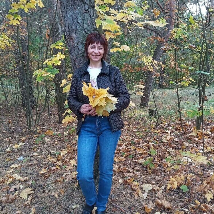   ,   , 52 ,  