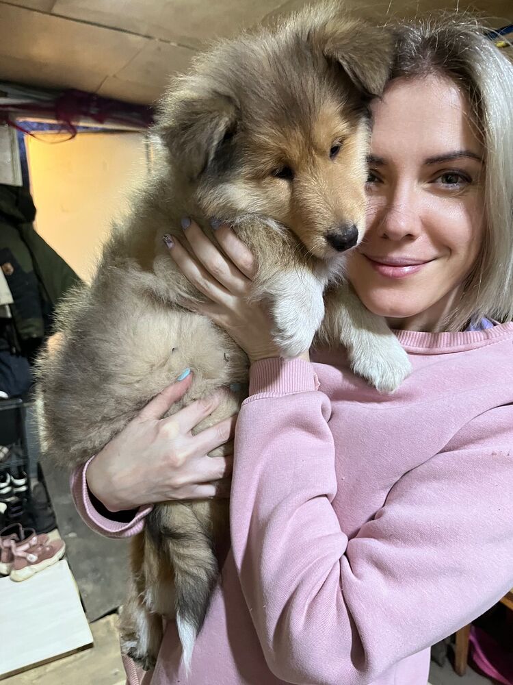 ���������� ����������, ���� ������� ���, 40 ���, ������������ ��� c�������� ���������