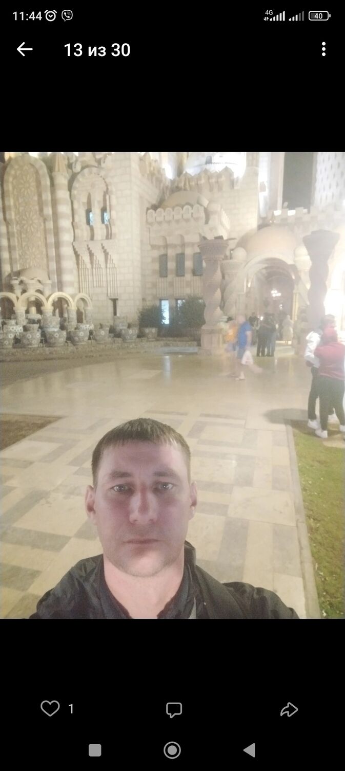  43994834  , 36 ,    