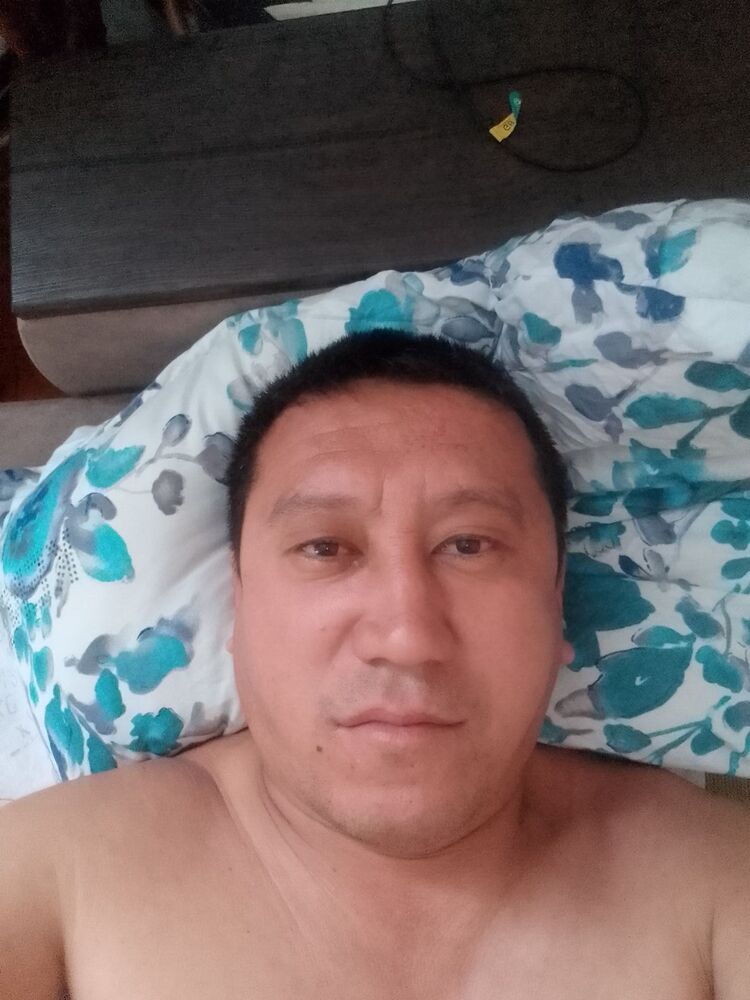  37880104  , 44 ,    