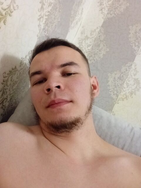  53337894  , 27 ,    