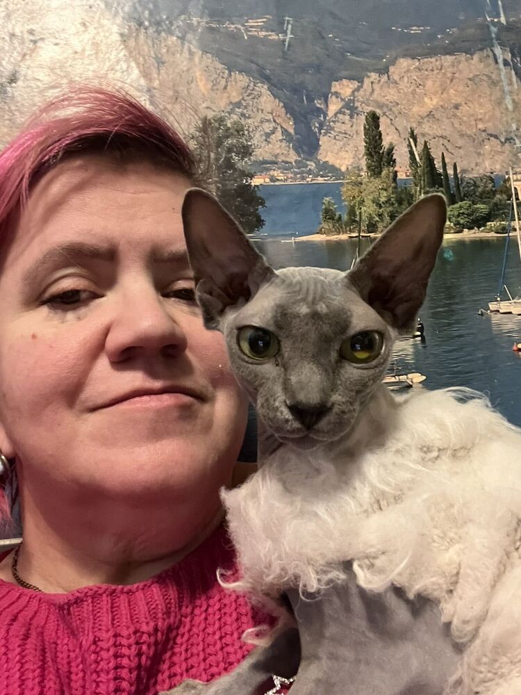 ���������� ������, ���� ������� ����, 52 ����, ������������ ��� ����� � ���������, c�������� ���������