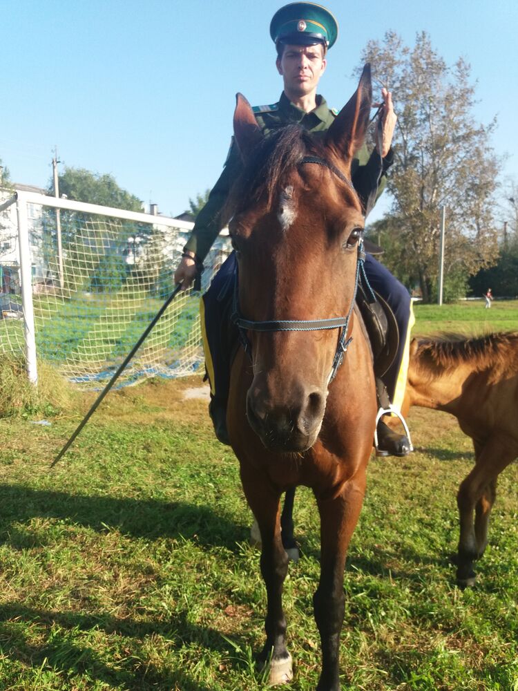 ���������� ������������, ���� ������� ������, 39 ���, ������������ ��� ������, ����� � ���������, c�������� ���������