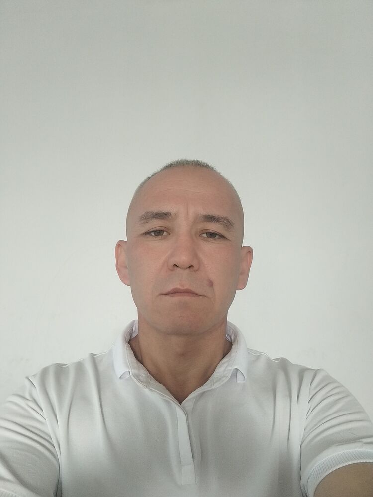  33351234  , 40 ,    